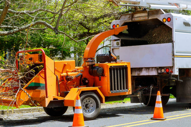 Mulching Services in Monticello, FL